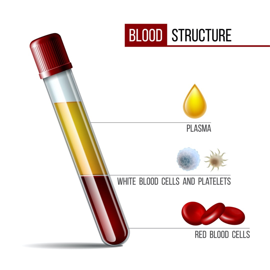 glassware-tube-filled-fractioned-blood-plasma-and-layers-red-blood-vector-id1265517281 woman is happy because wrinkles are gone