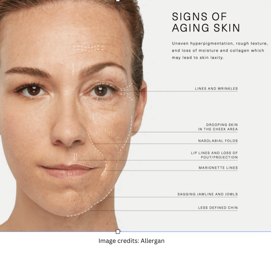 illustration of aging skin 