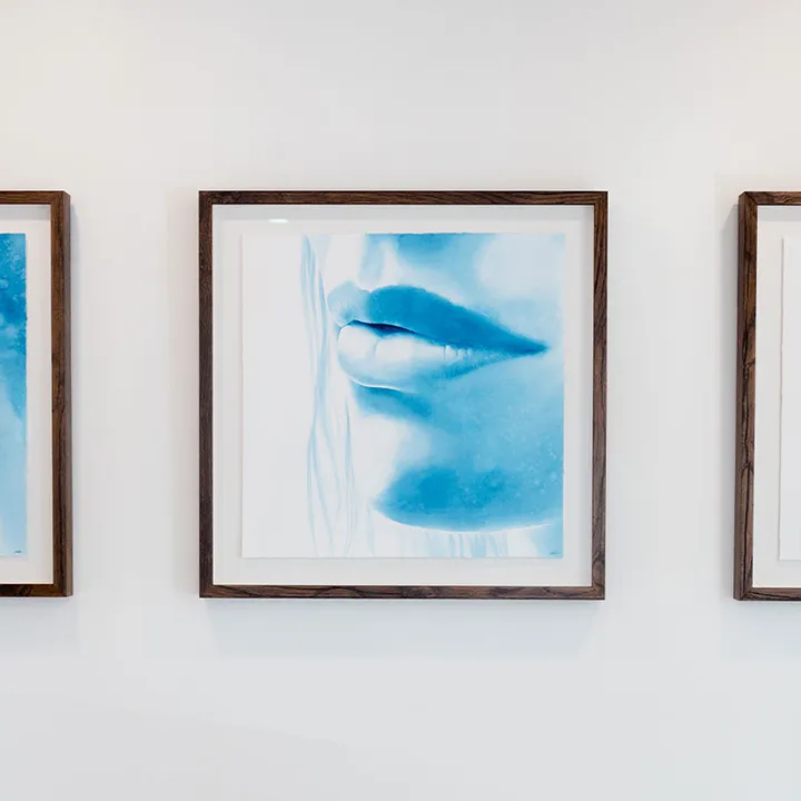 Aluma wall art
